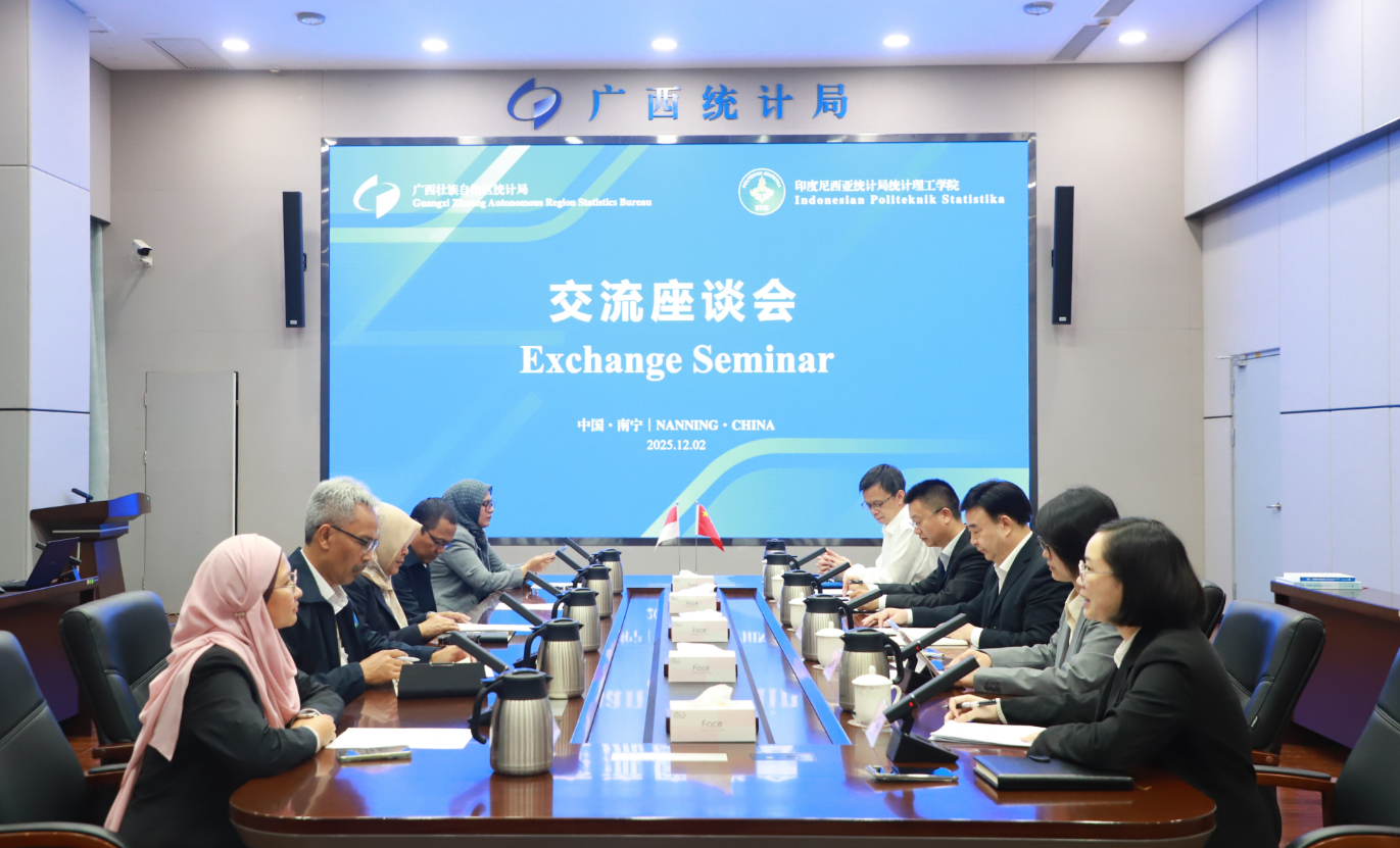 自治区统计局与印尼统计理工学院共商统计创新合作